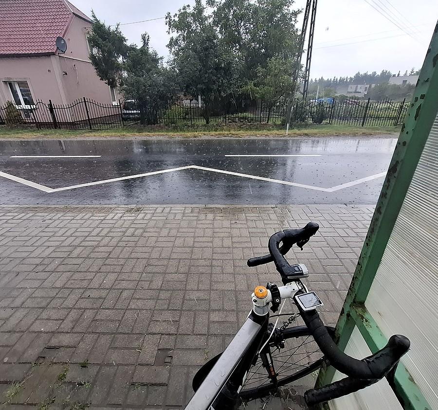 Wymuszona pauza