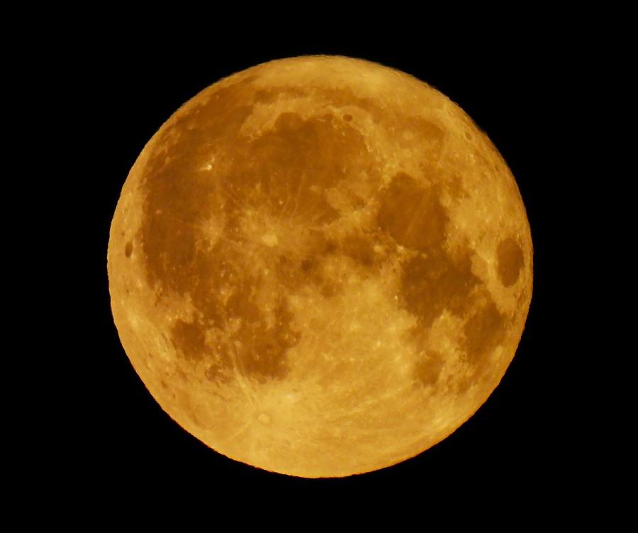 Nocna pełnia