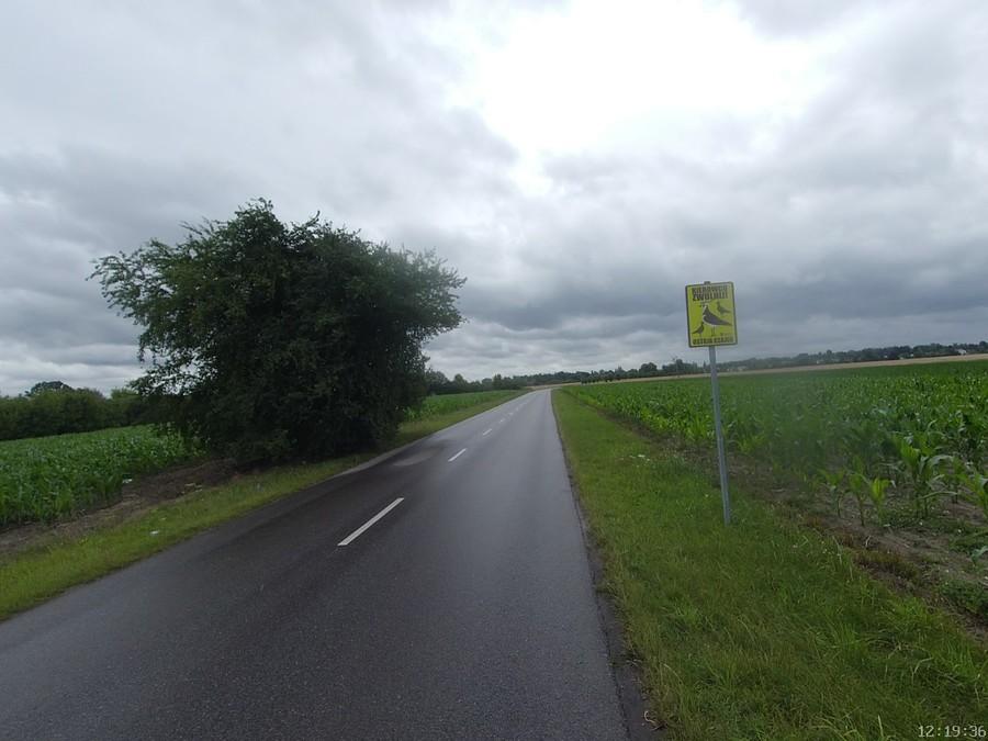 Ostoja czajek