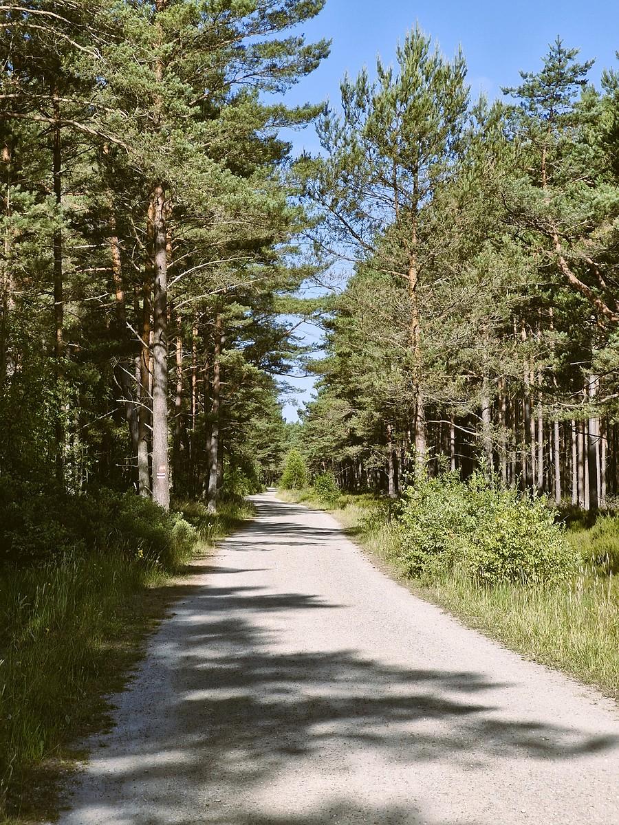 EuroVelo 10/13