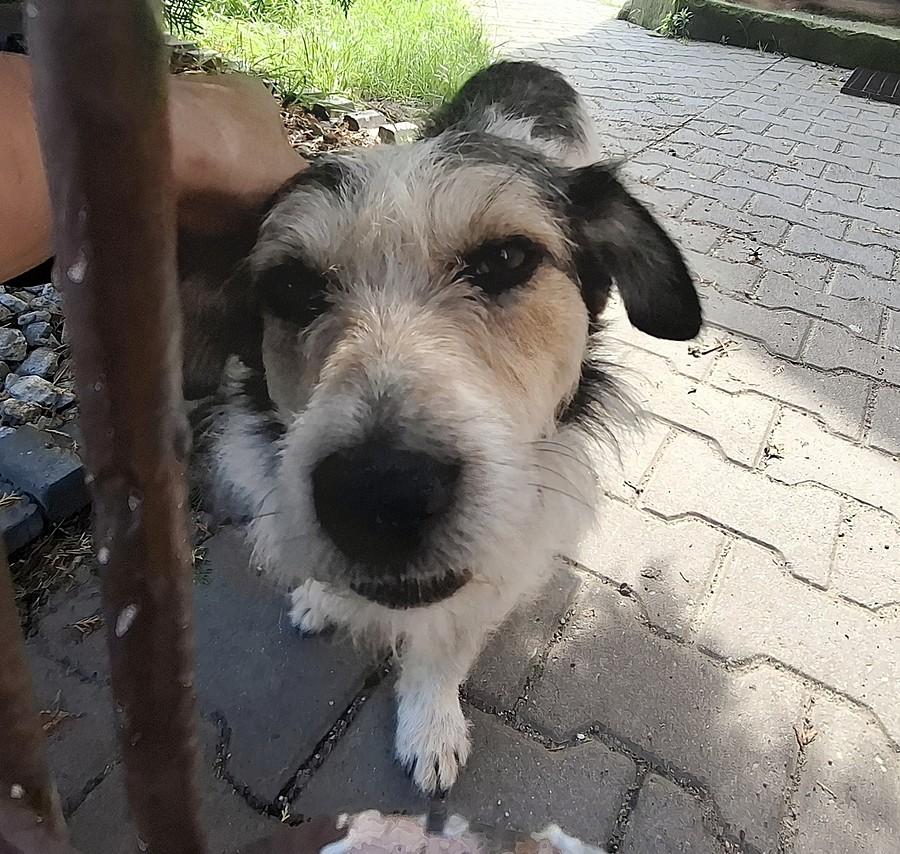 Dawno się nie widzieliśmy