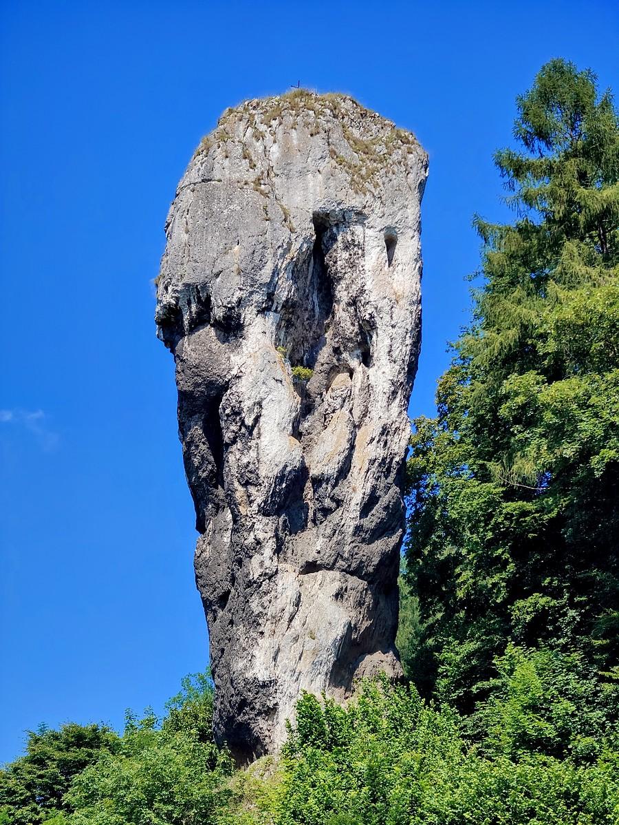 Maczuga Herkulesa.