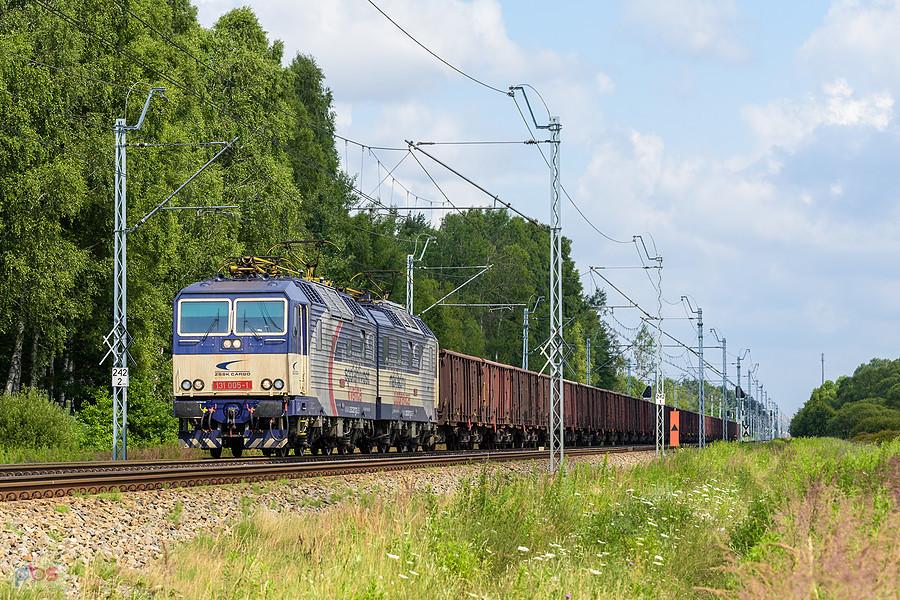Szlak: Częstochowa Towarowa - Poraj, linia D29-1. 131 005-1/131 006-9 mija miejscowość Zawodzie, kierując się na południe.