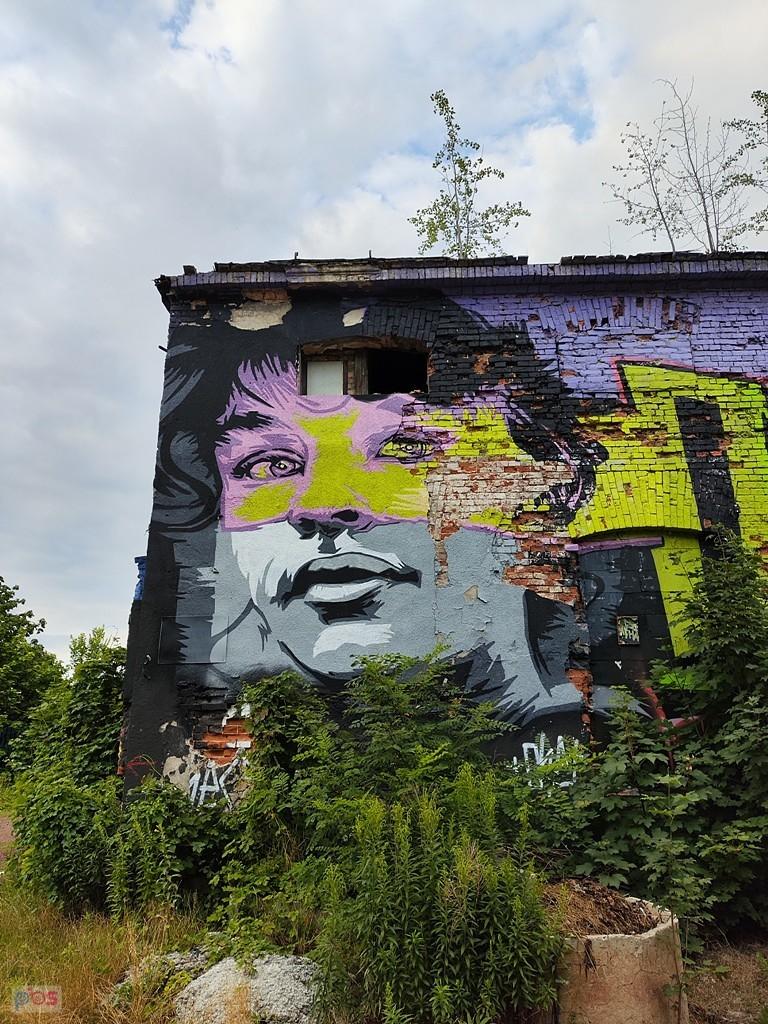 stare ale jare, na "slumsach"