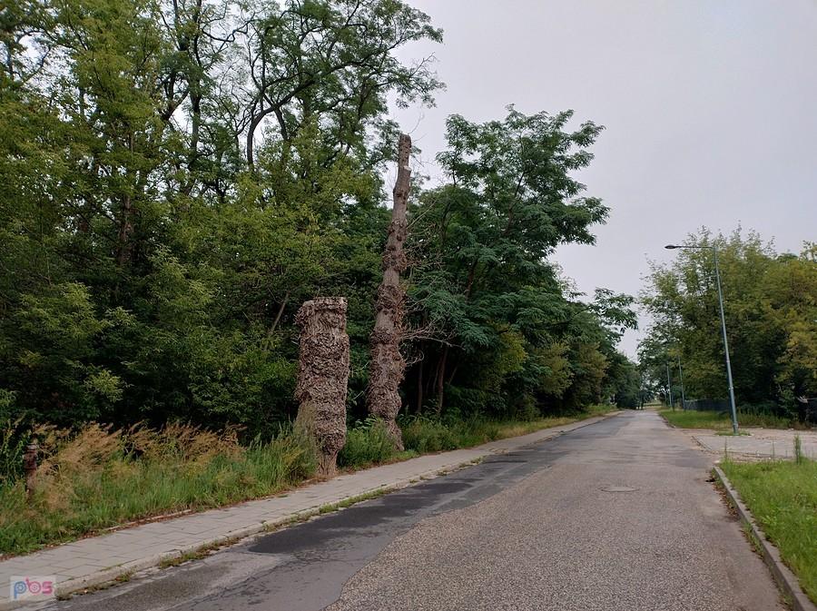 W parku na Forcie Bema