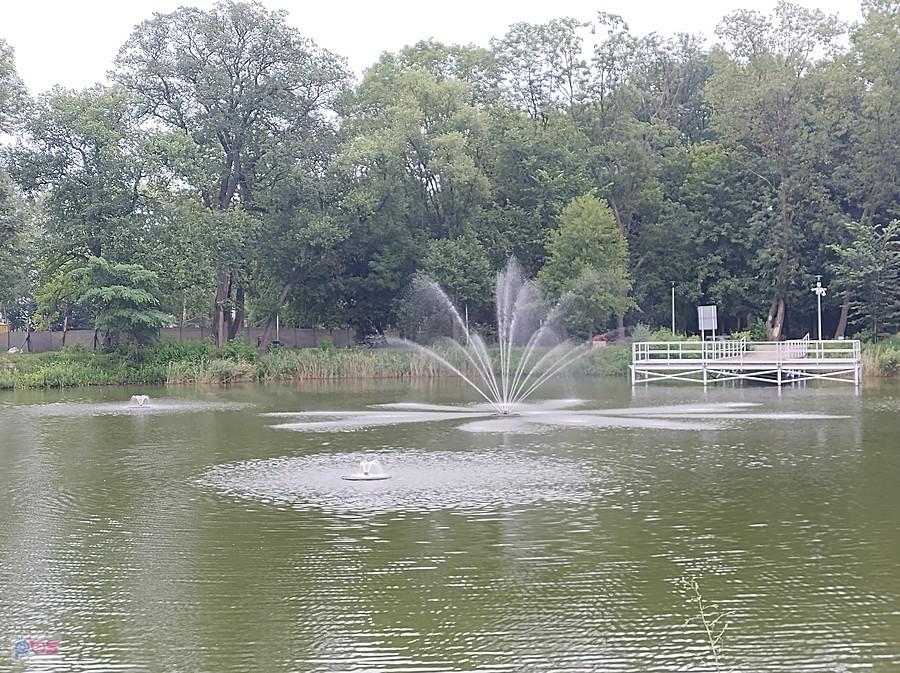 Staw w Ołtarzewie