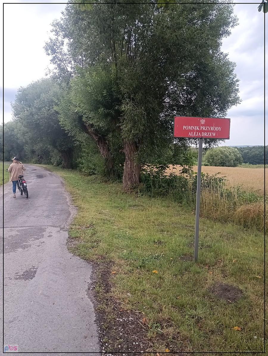 kolejna do kolekcji