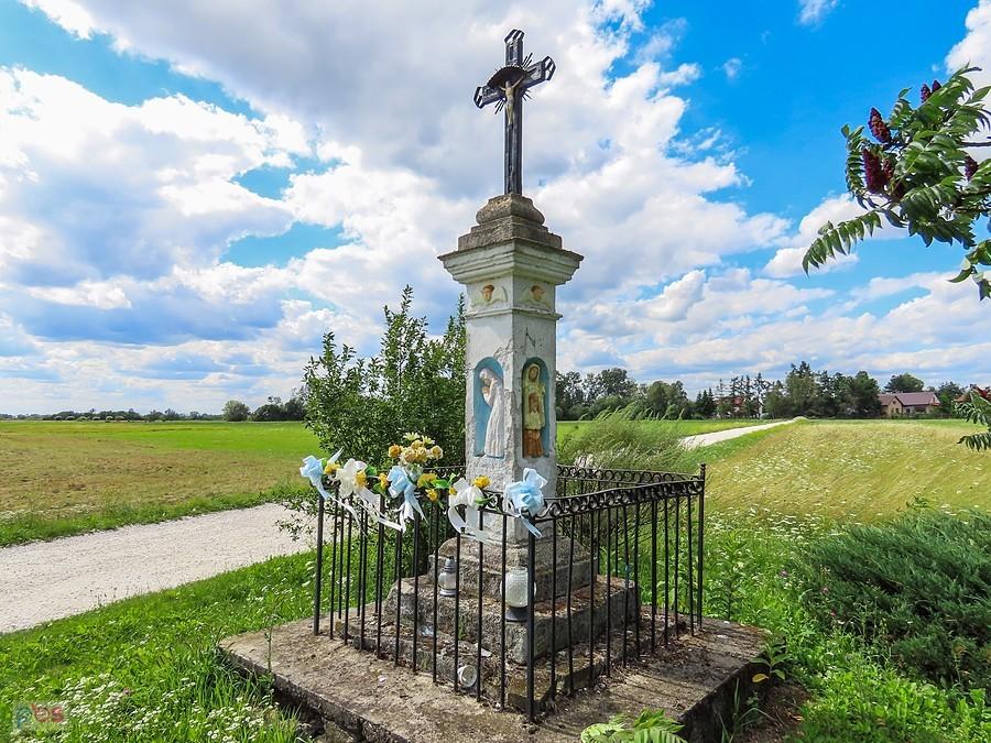 Na nadwiślańskich łąkach