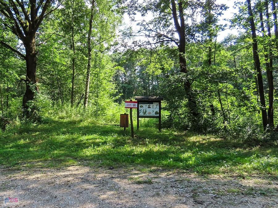 Na Szlaku Uzdrowiska