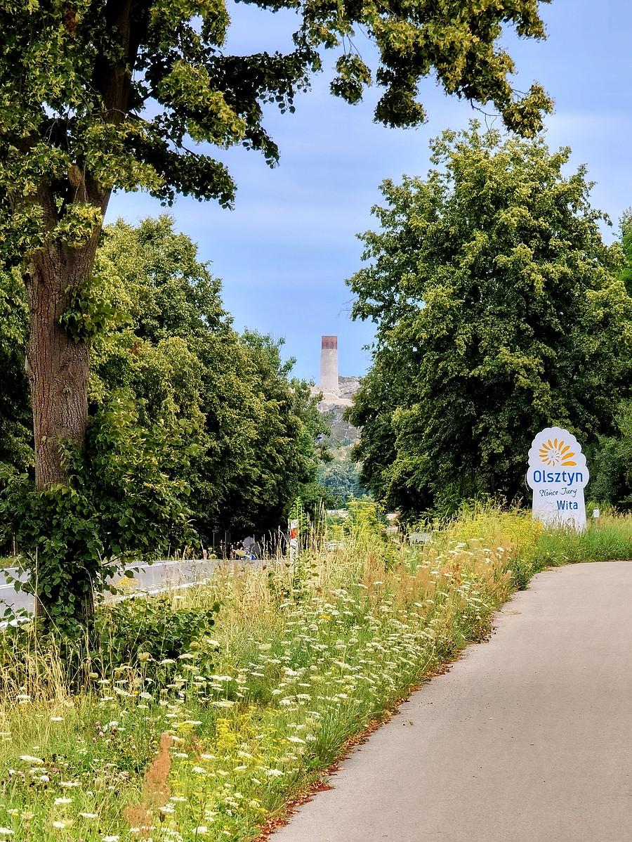 Zamek w Olsztynie spoziera zza zieleni.