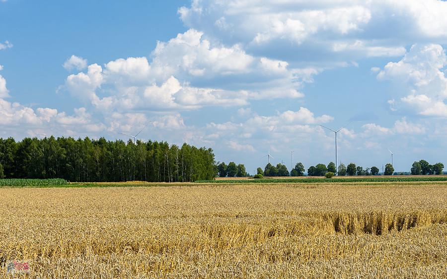 Ładzin