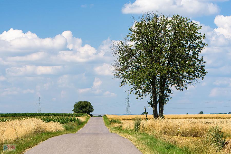 Ładzin, a na horyzoncie odkrywka Kopalni Bełchatów