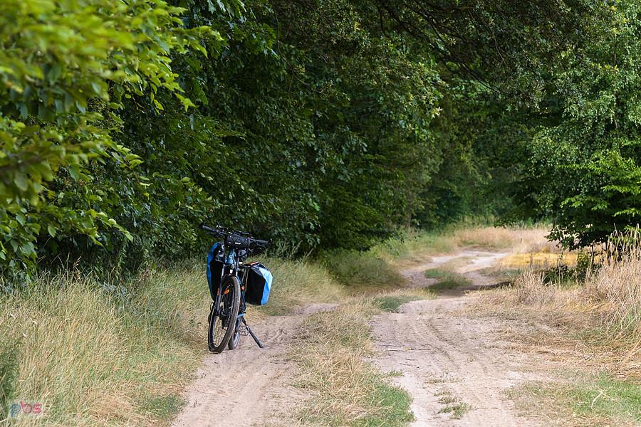 Leśna droga na pograniczu Starego Cykarzewa i Mykanowa oraz mój Ecobike MX 500