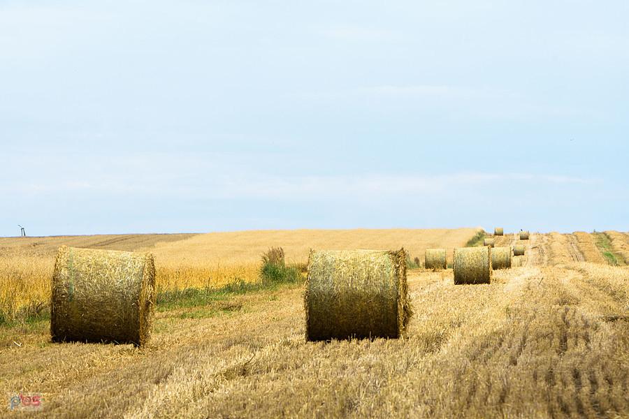 Mykanów