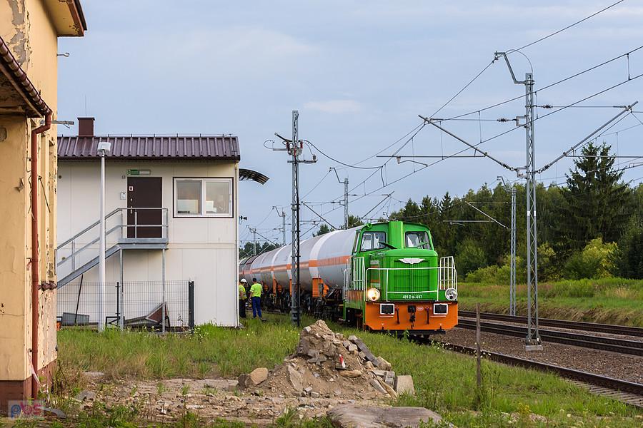 401Da-497 "Małgosia" manewruje na terenie stacji Brzeźnica nad Wartą, linia D29-146.