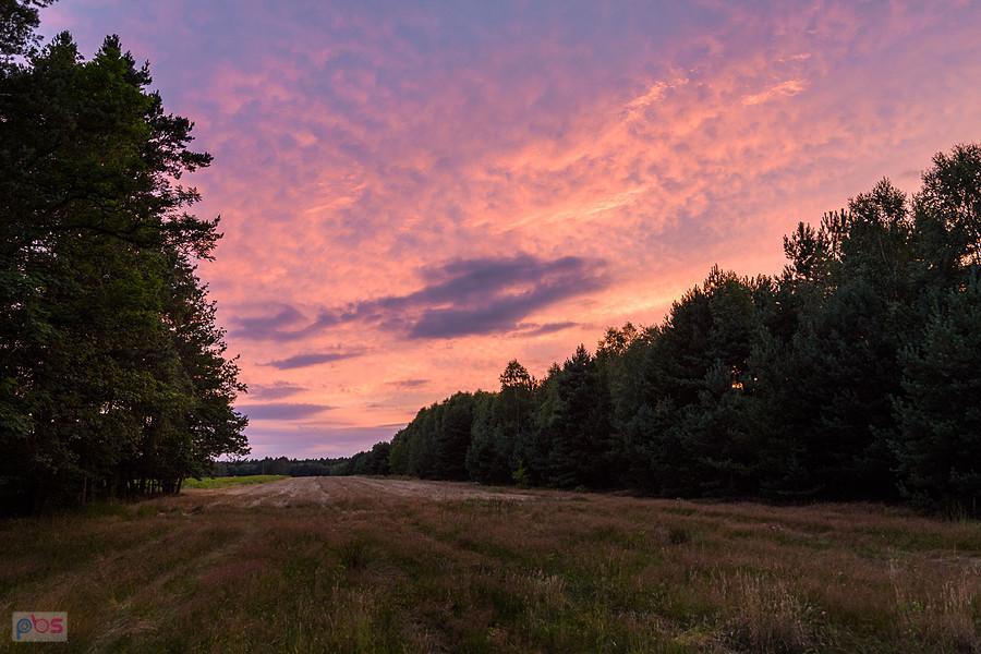 Stary Kocin - taki spektakl na niebie o godzinie 20:52.