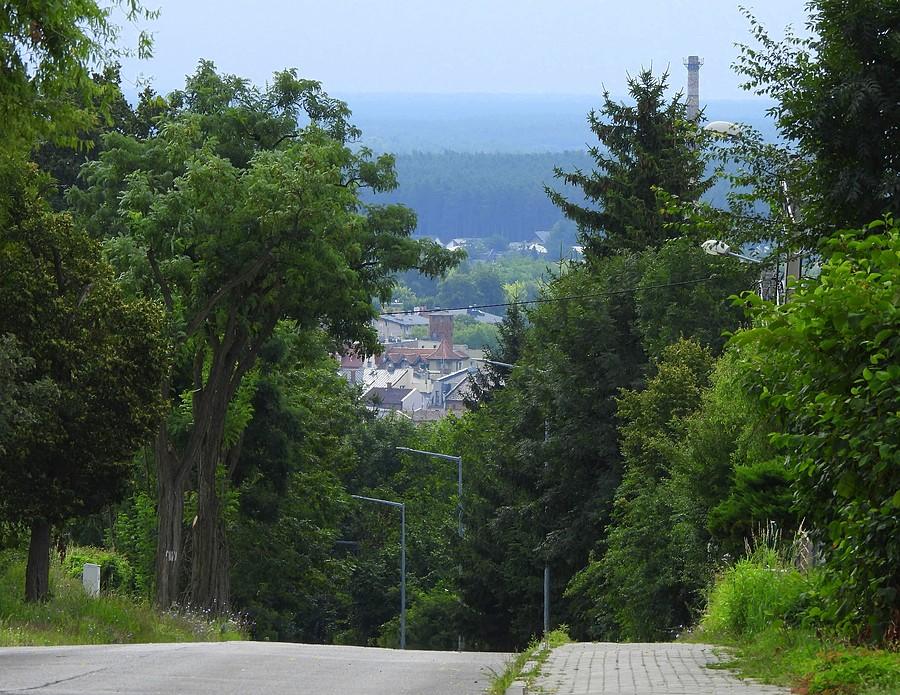Widok z ulicy Pożegowskiej w Mosinie