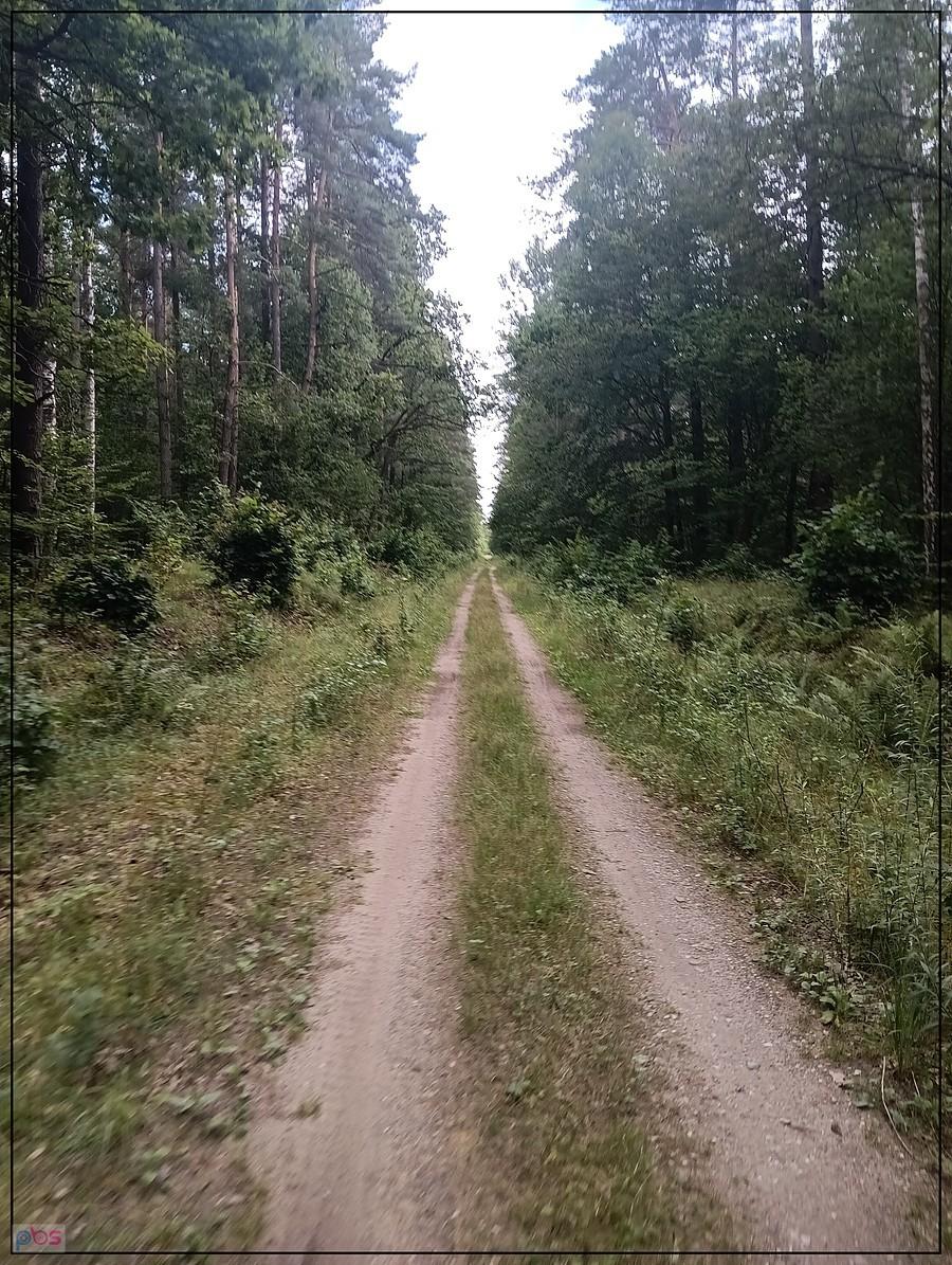droga długa jest
