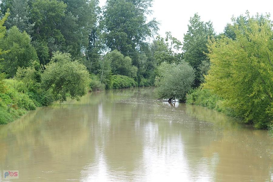Wisłok w Boguchwale