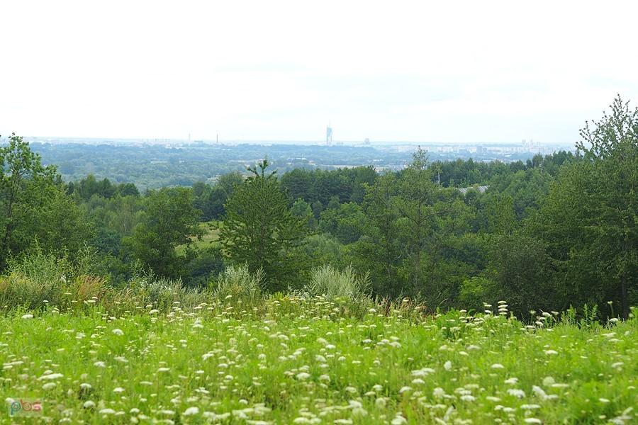 rzeszowski klocek góruje nad miastem