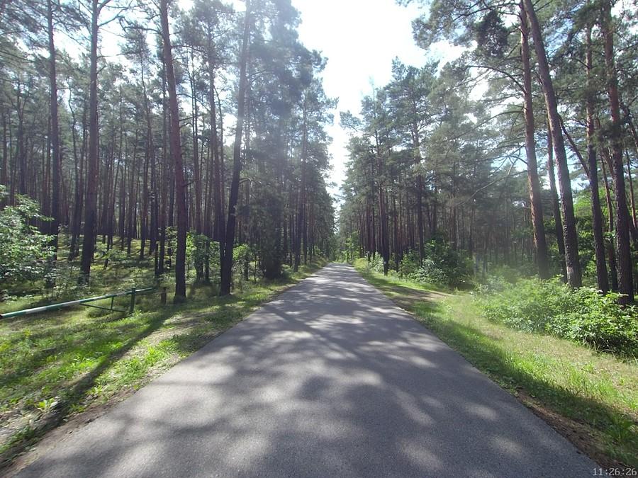 Droga Wilków - Górki