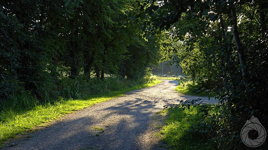 popołudniowe ścieżki podbieszczadzkie