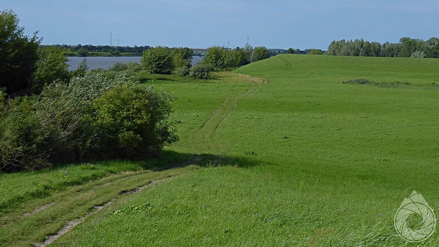 łąki nadwiślańskie