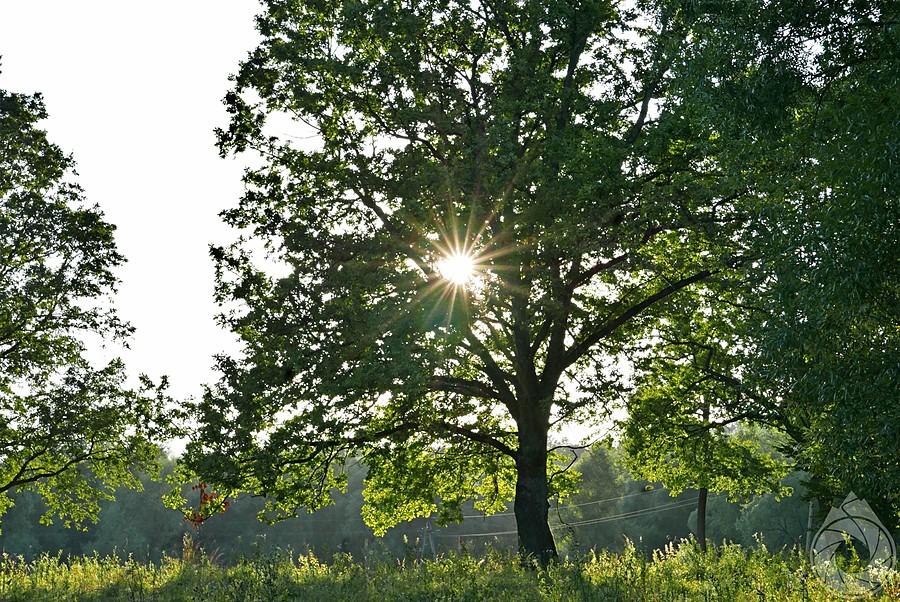 gdzieś nad Uhercami Mineralnymi słońce powoli zachodzi