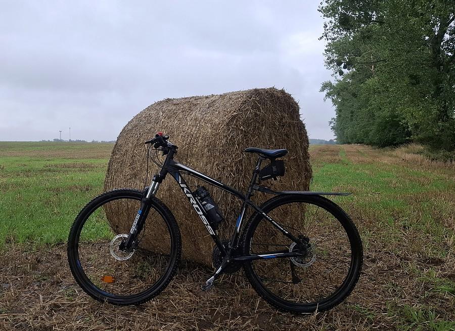 Zaiste letnia rowerówka :)