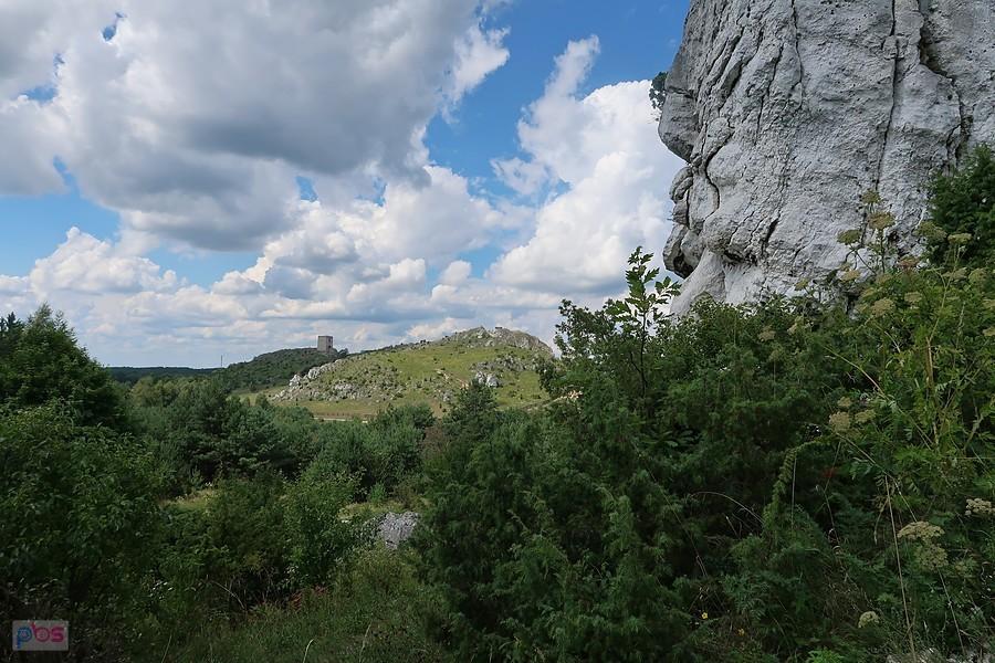 Widok na wzgórze zamkowe