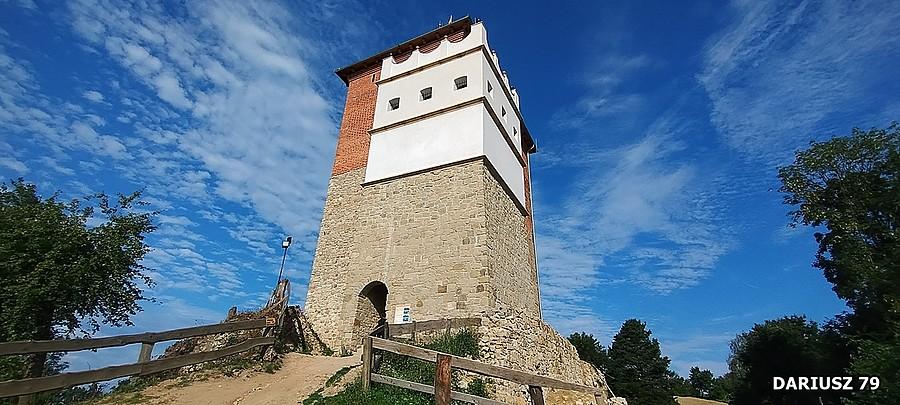 Ruiny zamku w Melsztynie