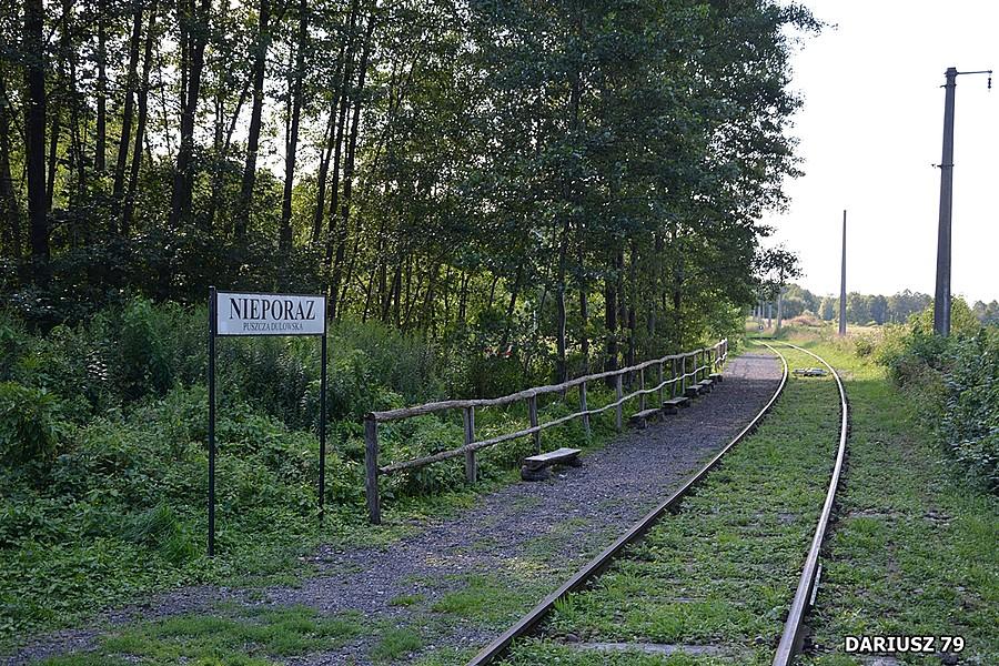 Nieporaz - Lokalna Kolej Drezynowa w Regulicach