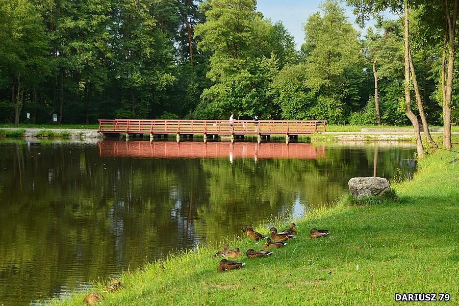 Staw Wroński - Tenczynek