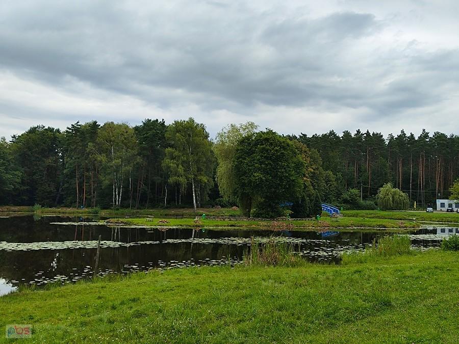 mostek tym razem zakryty samosiejką