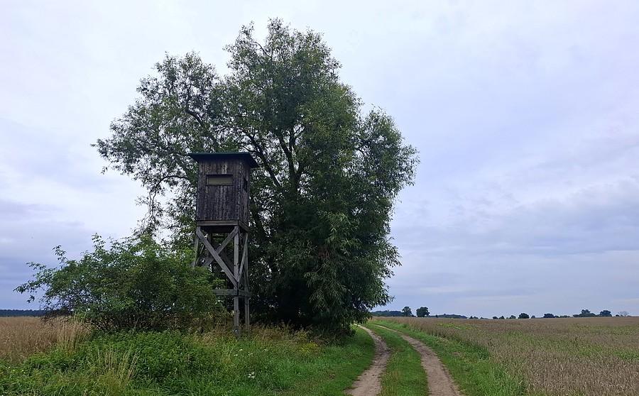 Ambona na szczęście coraz bardziej się rozpada