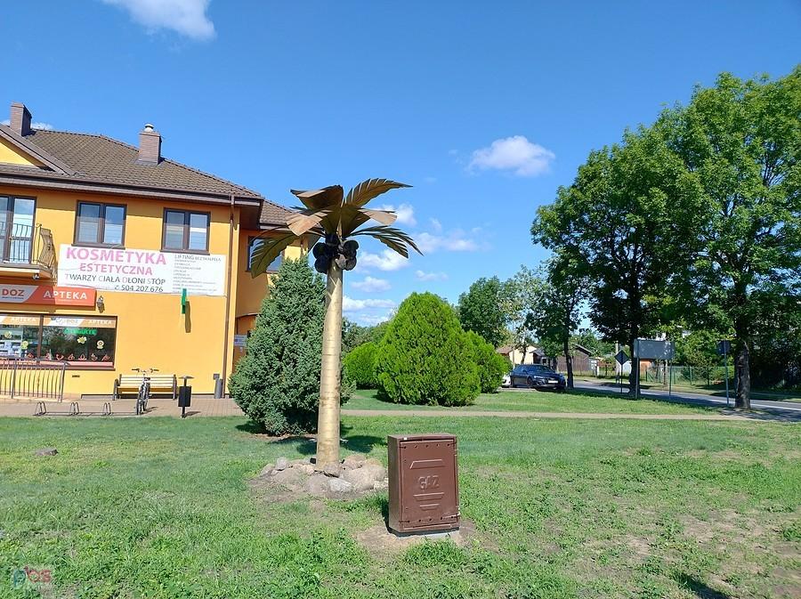 Ciechocinek też ma palmę. A co?