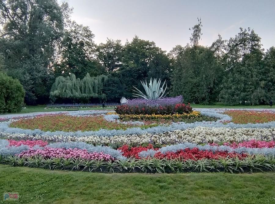 Ciechocińskie dywany