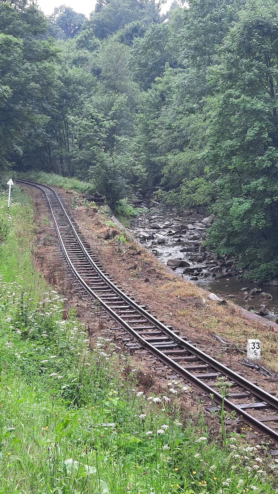 Wąski tor, Żubracze.