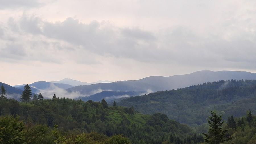 Deszczowe Bieszczady.