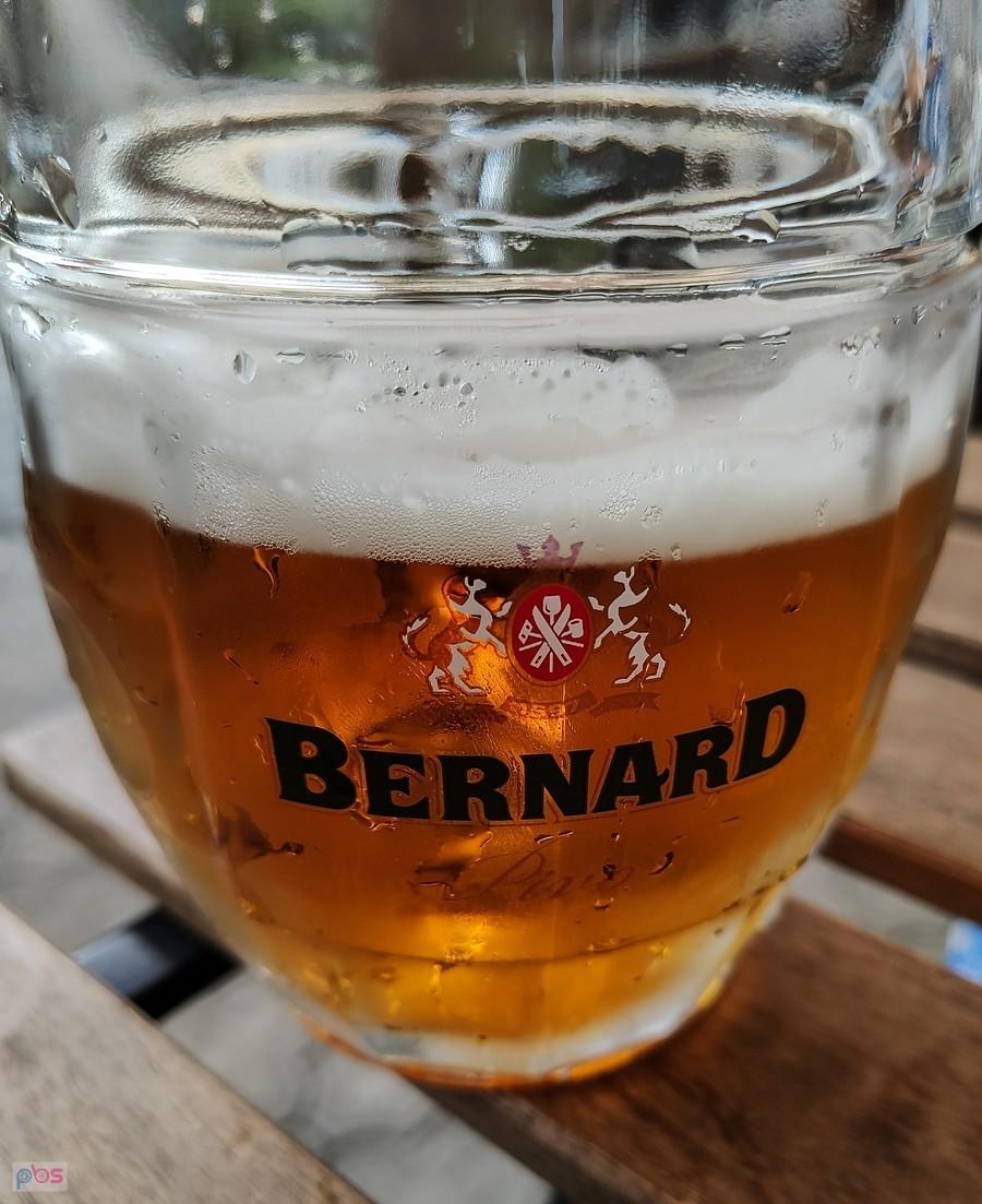 Bernardzik dobry jest na upały