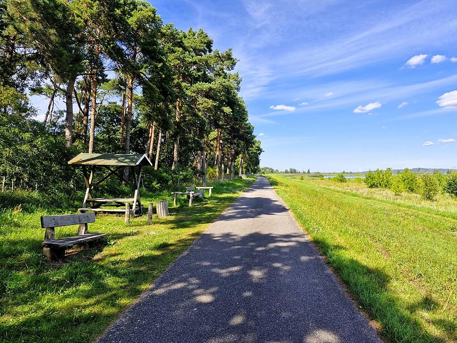 Szlak Odra - Nysa