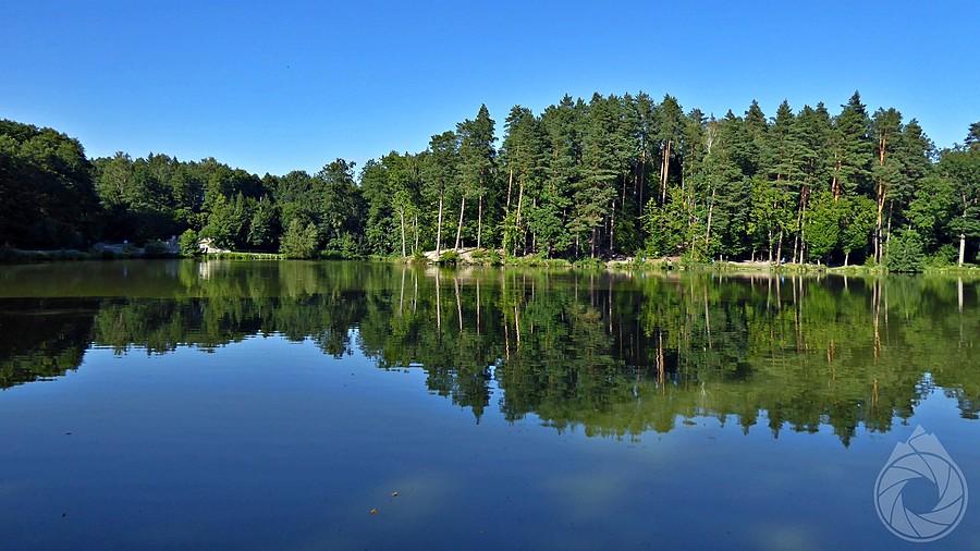 staw horyniecki