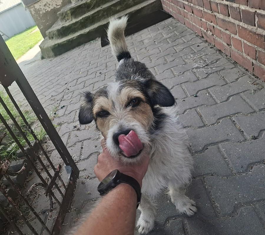 Znów się widzimy :)