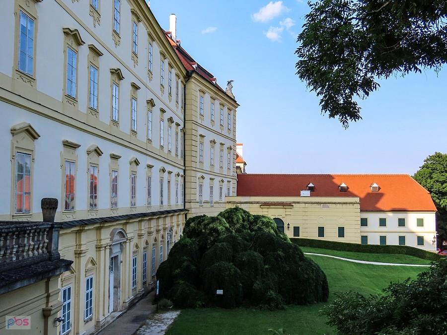 Valtice - wsch. fasada zamku, z kępą kwitnącego perełkowca japońskiego