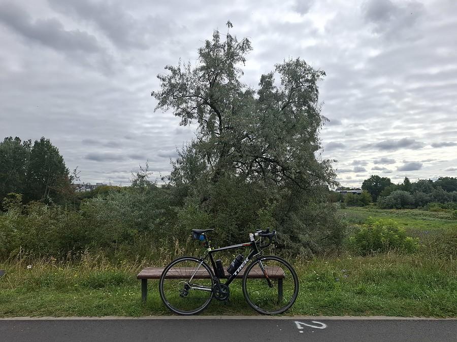 Na zachmurzonej Wartostradzie