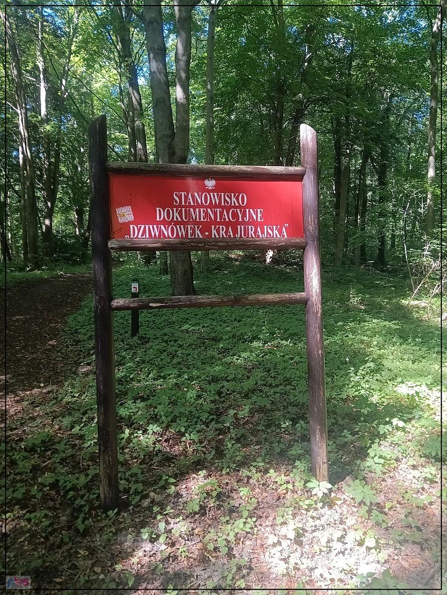 kolejna do kolekcji