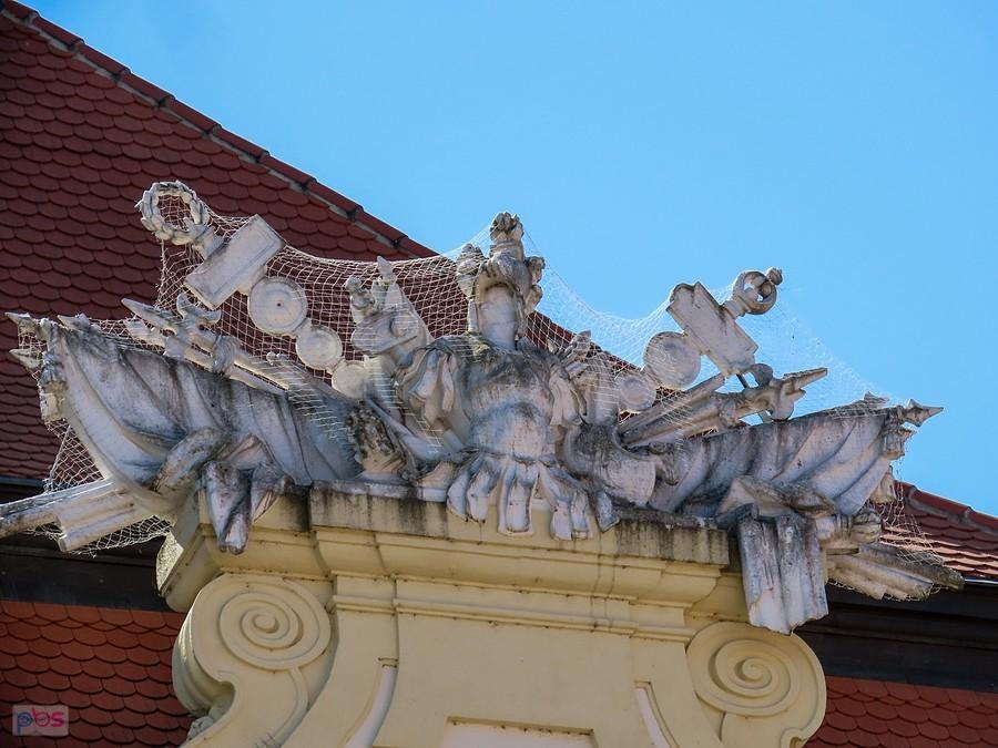 Panoplium z fasady zamku w Valticach złowione w siatkę zapewne przed gołębiami