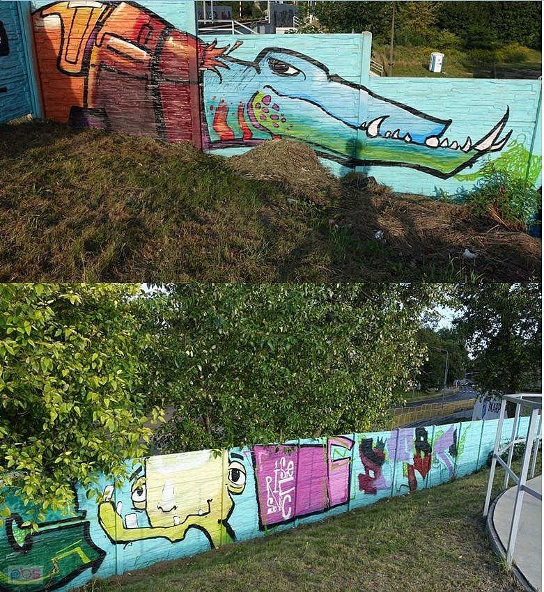 Skarpa kolaż
