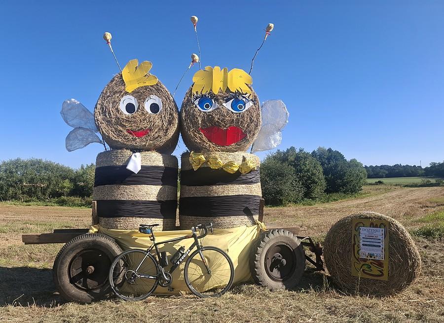 Pierwsza tegoroczna dożynka :)
