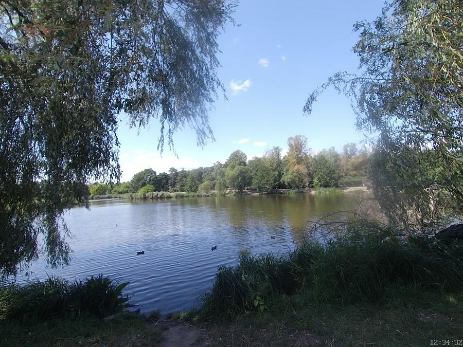 Staw na Górkach Szymona
